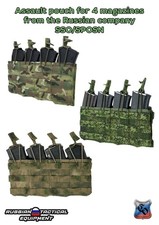 Assault pouch for 4 magazines