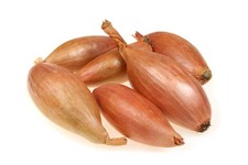 Shallot Zebrune Seeds – 40