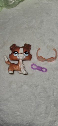 Littlest pet shop - rare, and