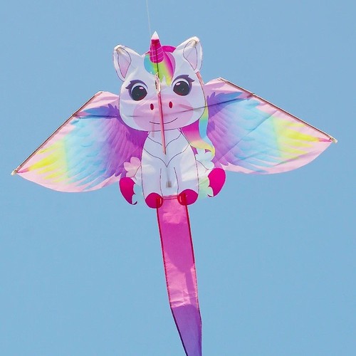 Small pink unicorn kite beach - kite,