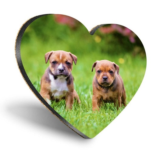 Heart mdf coasters - heart,