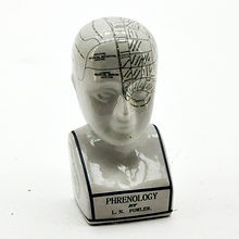 12" PHRENOLOGY HEAD