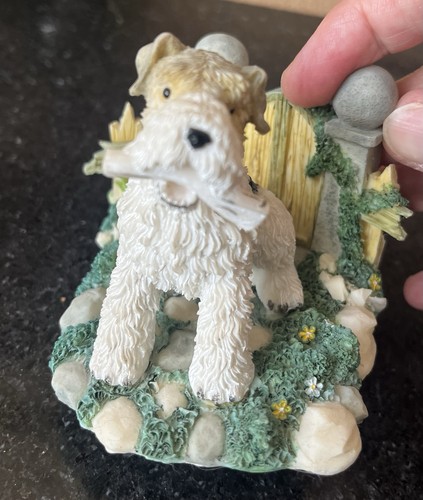 Wire fox terrier - terrier, garden