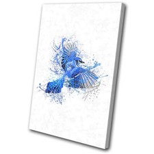 Blue Jay Bird Splash Animals