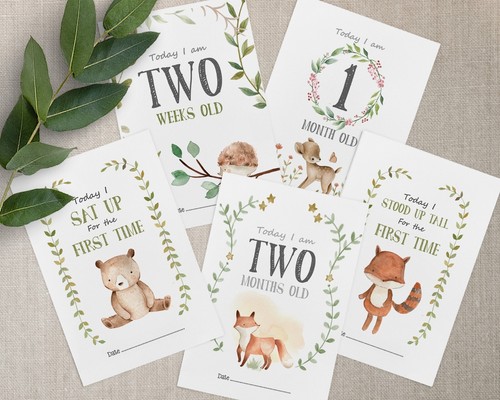 Woodland animals baby - woodland,