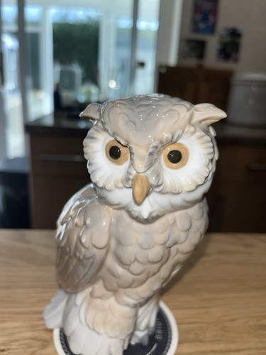 Short eared owl nao - short,