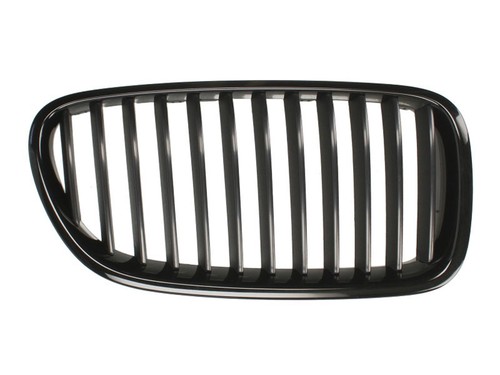 Radiator grille right fits - fits, bmw