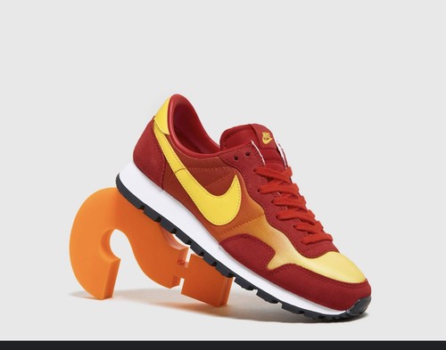 Nike air pegasus - air, omega