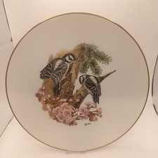 Boehm Plate Woodland Birds of America Downy Woodpecker w Flowering Cherry 27 Cm 