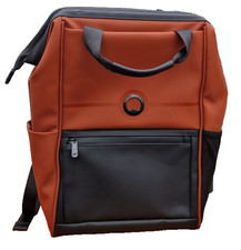 Delsey Paris Turenne Backpack