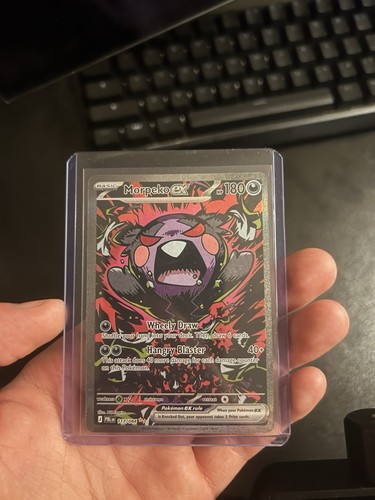 2026 pokemon pitch - pokemon, black