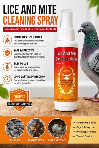 Pigeon lice and mites - and,