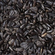 25KG (2x 12.55Kg) BLACK SUNFLOWER SEED WILD BIRD FOOD HIGH OIL NUTRITIOUS FEED