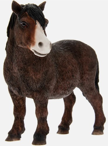 Shetland pony cob - pony, ornament