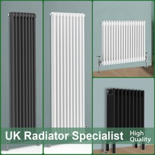 Traditional 2 3 4Column Radiator Vertical Horizontal Rads Cast Iron Style New UK