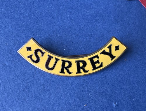 Vintage surrey regiment enamel - vintage,