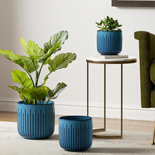 Ceramic Pots for Plants