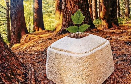 Natural bio urn - natural,