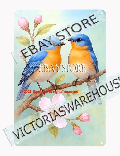Bluebird pair tin - bluebird, sign