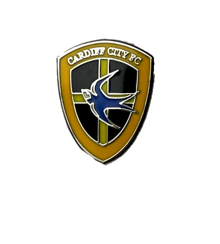 Cardiff city retro - retro, 2007