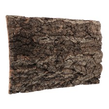  Reptile Decor Climbing Mat