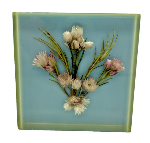 Vintage 1970s lucite resin - vintage,