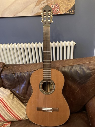 Walden classical guitar cn2030 - classical,