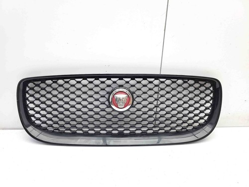 Jaguar x760 radiator - jaguar, front