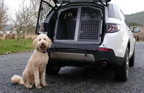 Transk9 b34 double dog - dog, car
