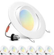 6 inch Retrofit Gimbal LED