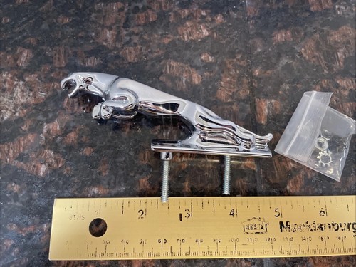 Jaguar leaping cat large - leaping,