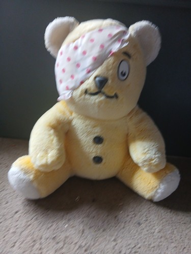 Pudsey bear soft toy - bear,