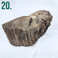 English Bog Oak Wood Pieces