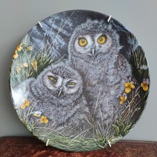 Baby Owls Decorative Collector
