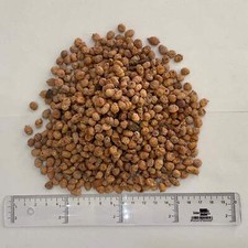 Micro Tiger Nuts For Fishing