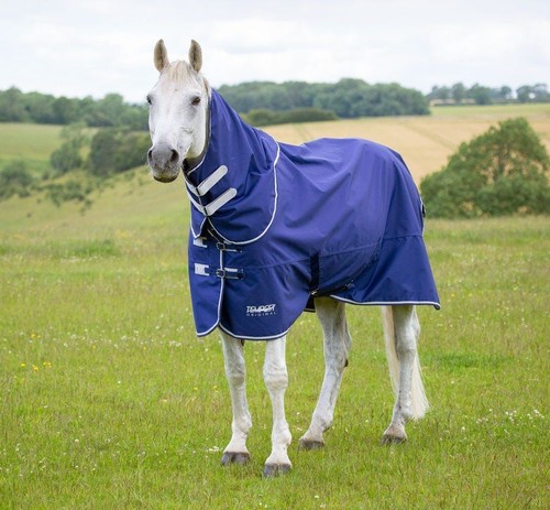 Shires tempest original - shires,