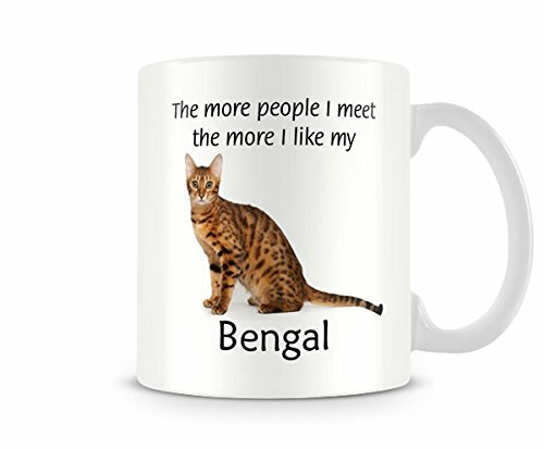 Like bengal funny cat - bengal,