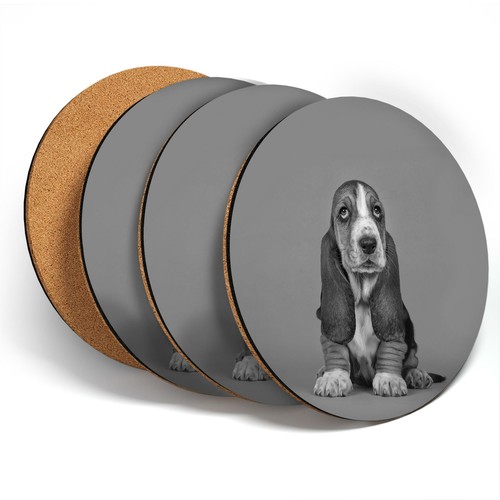 Coasters bw basset - x,