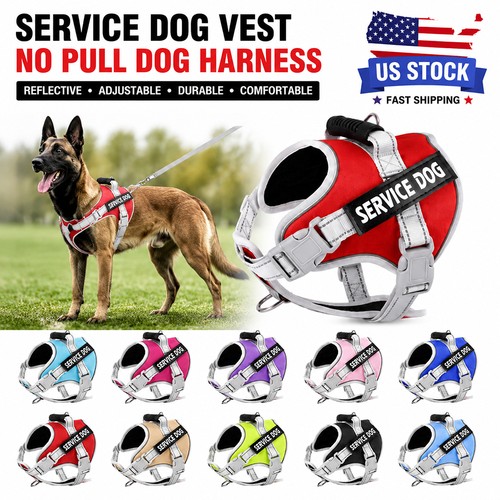 Tactical service dog vest - service,