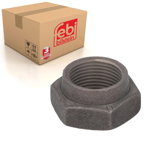 Rear axle nut fits - nut, ducato