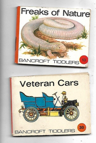 Bancroft tiddlers veteran - x,