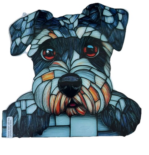 Charming schnauzer dog - charming,