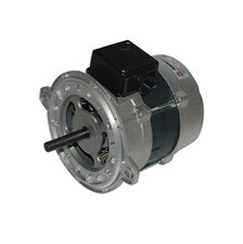 RIELLO 3006612 BURNER MOTOR - Worcester burner motor 87161107220 - NEW