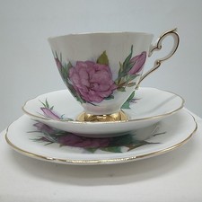 Paragon Six World Famous Roses