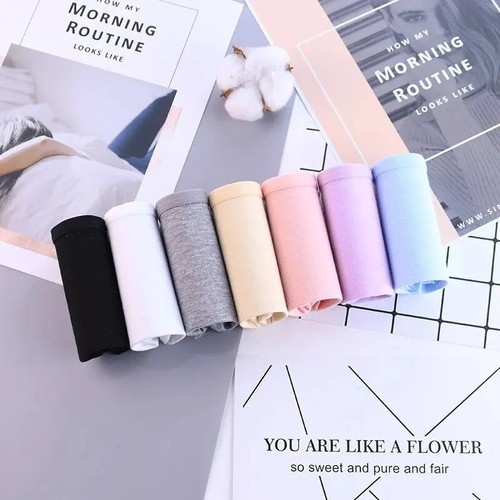 Pack ladies briefs 100 - briefs, 100%