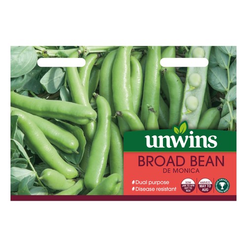 Broad bean monica unwins - bean,