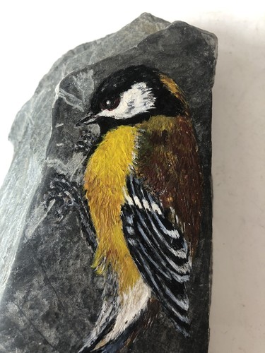Hand painted great tit - painted,