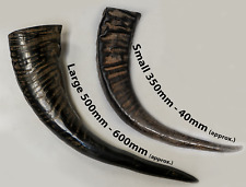 Natural Viking Murrah Buffalo Ox Drinking Horn Pagan Medieval Thrones Beer