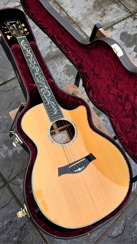Taylor ps14ce custom acoustic - taylor,