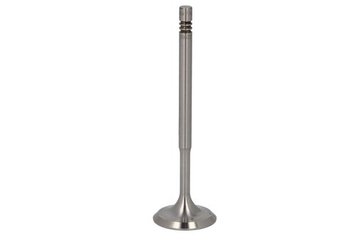 Intake valve fits - , audi